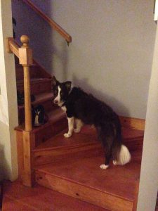 This is the bedtime positioning on the staircase, as demonstrated by Rowan