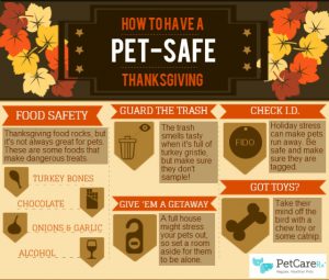 Thanksgiving-Infographic-11