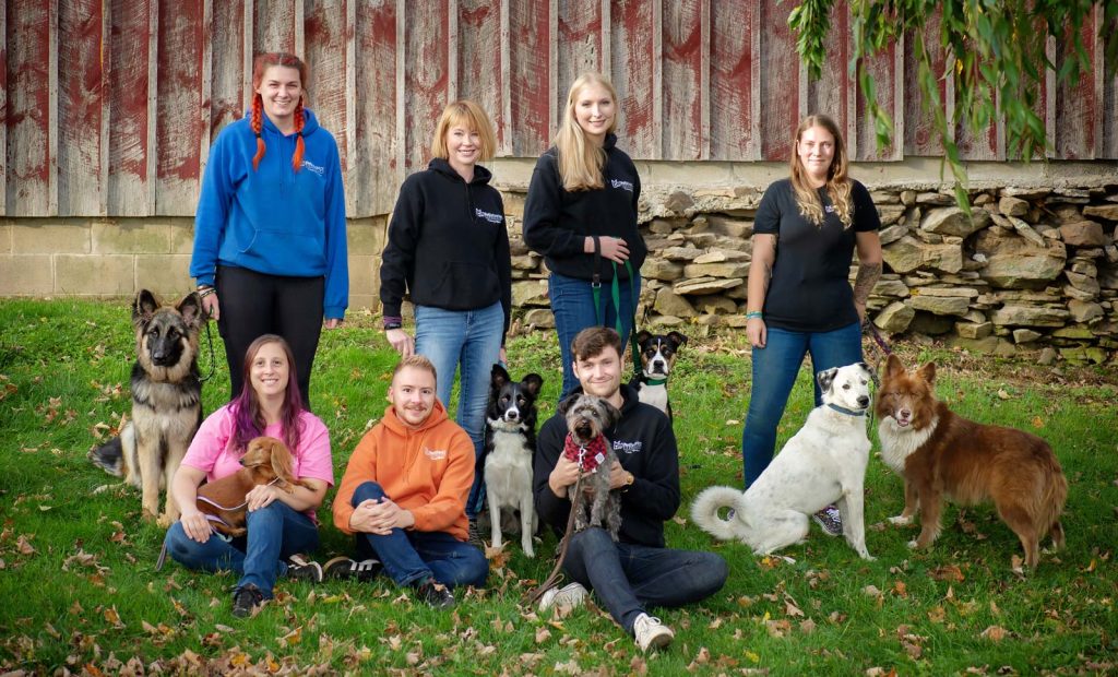 About Pet Behavior Consulting