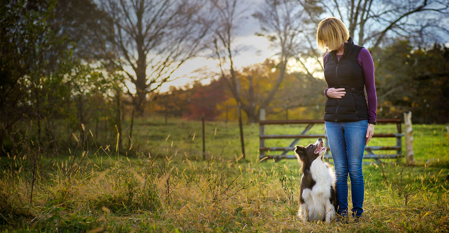 Dog and handler enjoying an outdoor field
