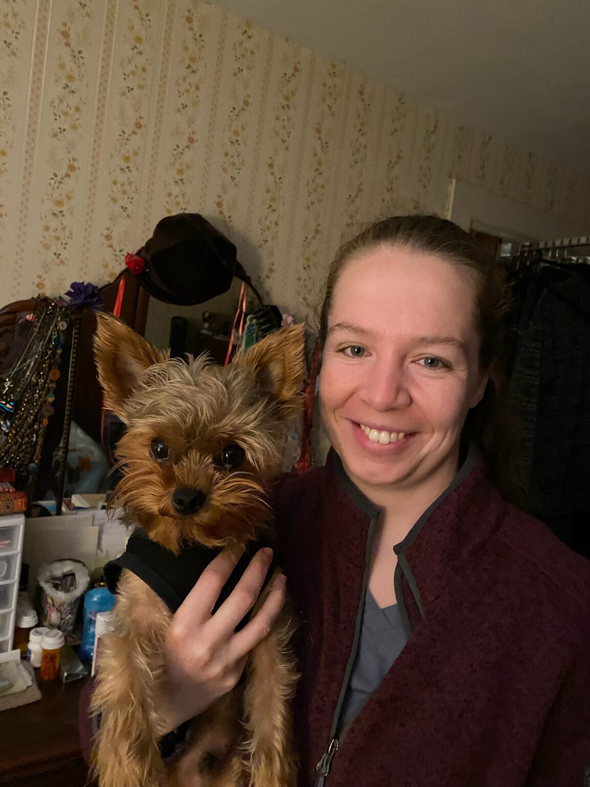 About Pet Behavior Consulting