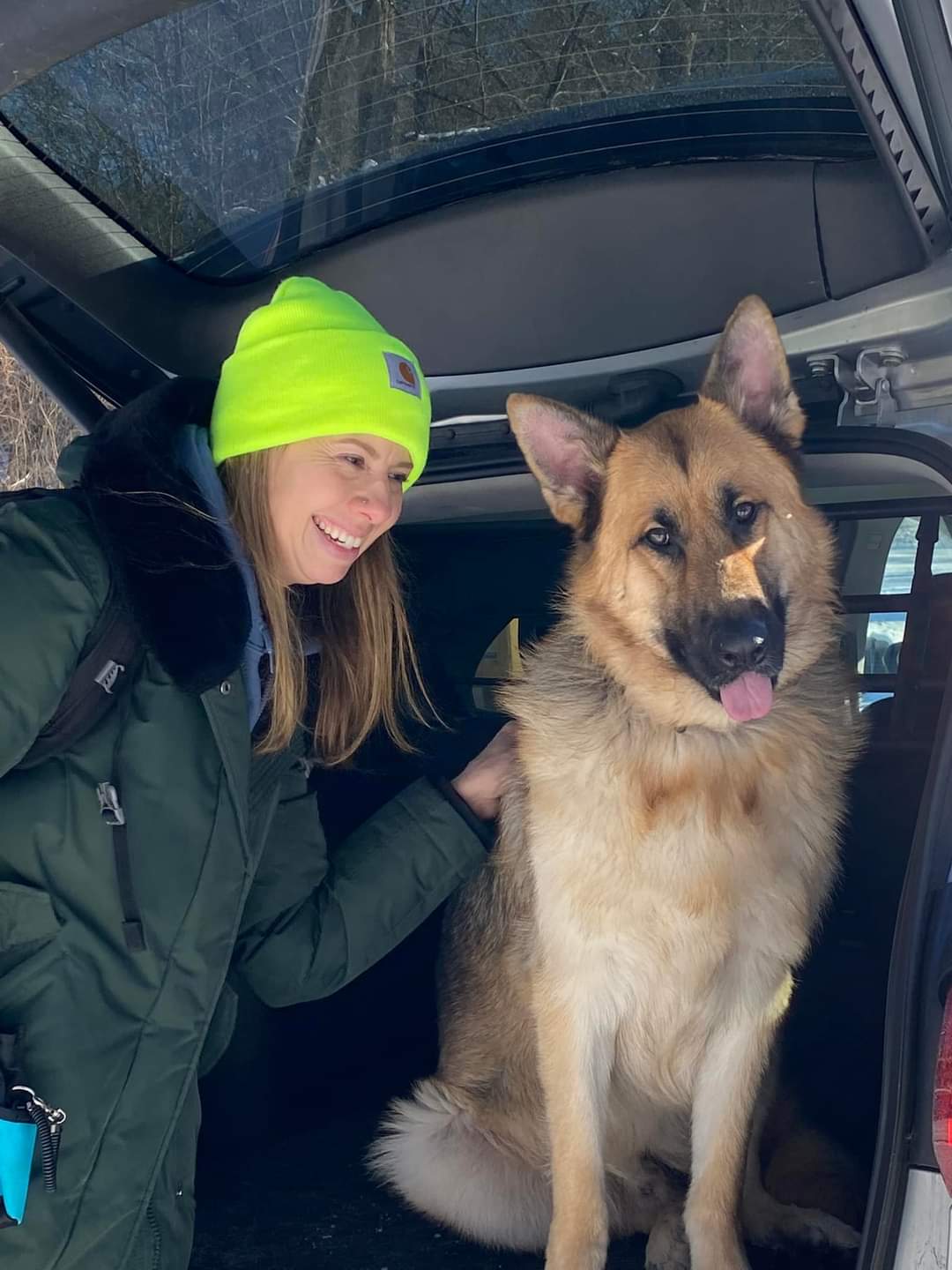 About Pet Behavior Consulting